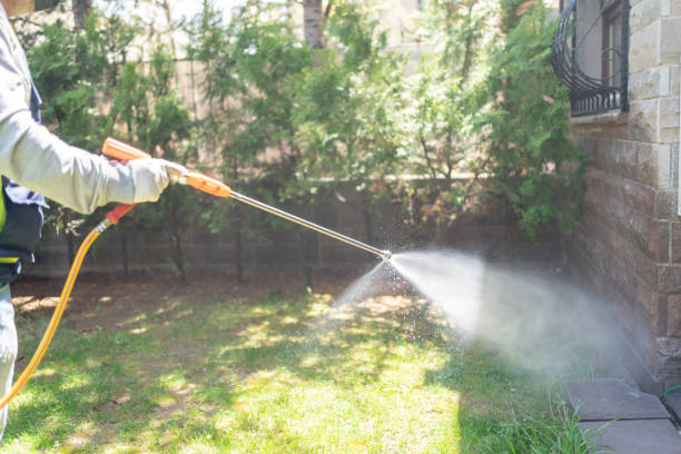 Indoor Pest Control in Rochester, PA